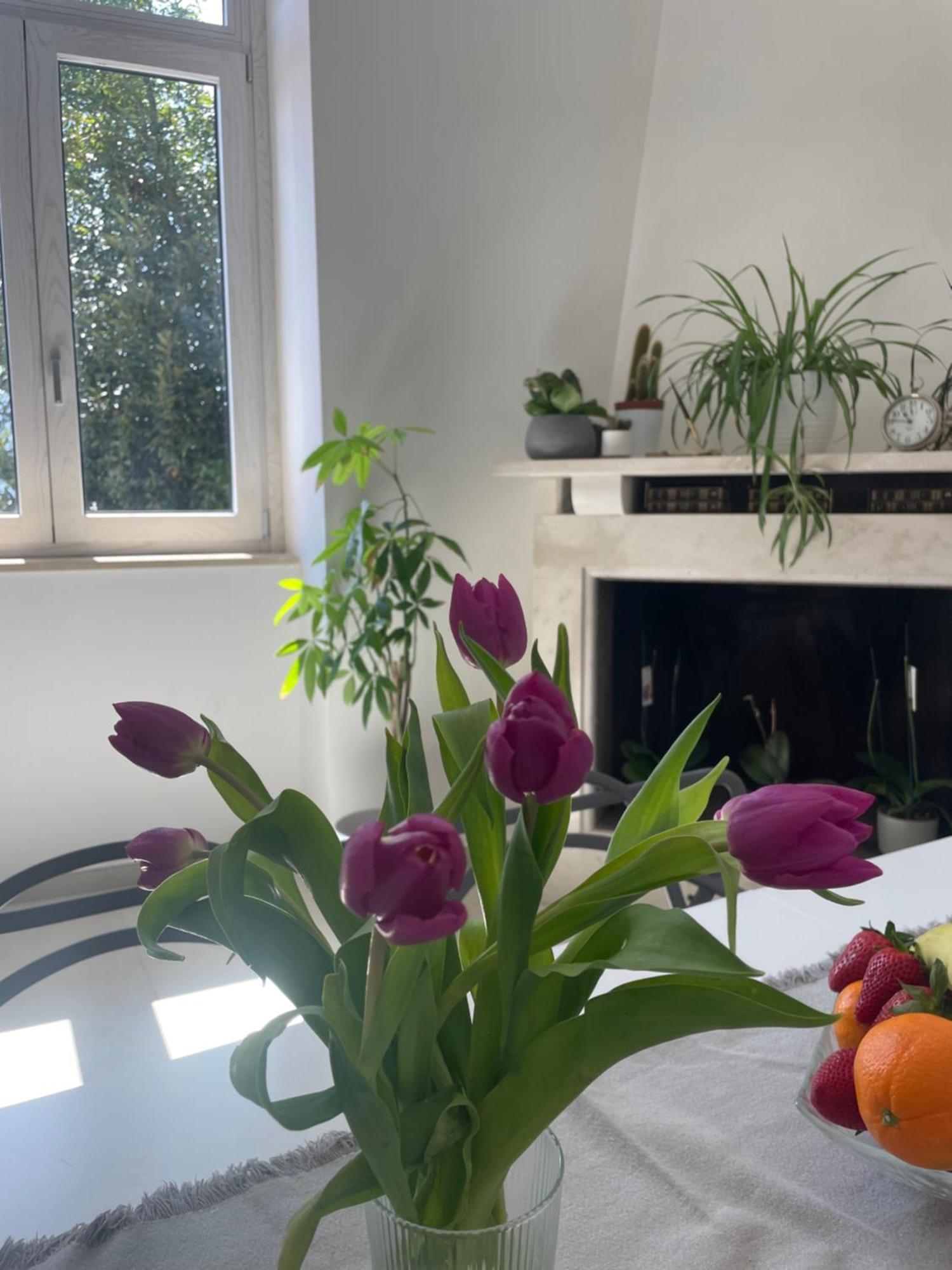 La Casa De Lu Barone Apartman San Demetrio ne' Vestini Kültér fotó